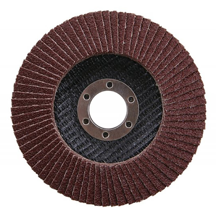 Slika Brusni lamelni disk f150  P40  21792