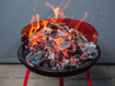 Slika Ćumur ekološki za 3kg roštilja Premium Grill