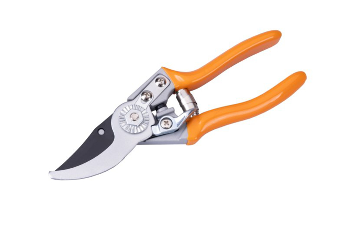 Slika Makaze vocarske Profi 07.046 / 45025
