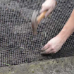 Slika Mreža za krtice 15 x 15 mm širina 1 m – prodaja na m²